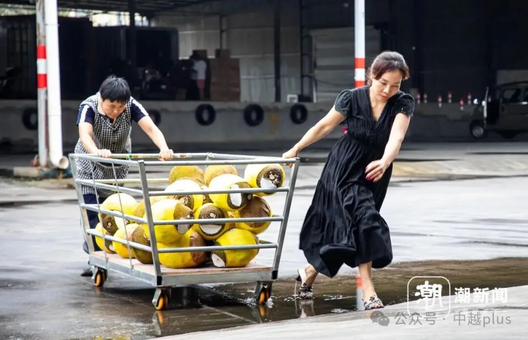 /attachment/editor/20250925/1758757974acp3l.jpg /attachment/editor/20250925/1758757974acp3l.jpg