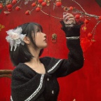 河内临时翻译导游